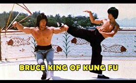 Wu Tang Collection - Bruce King of Kung Fu
